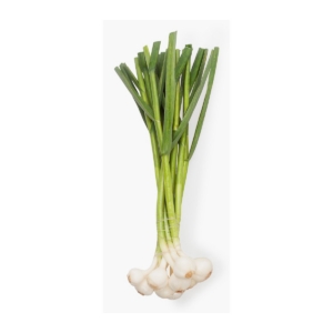 Green Garlic Fresh 0.25 lb
