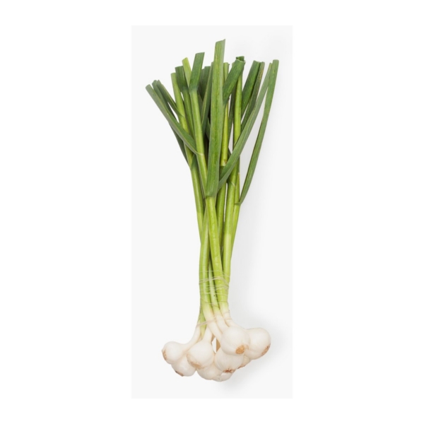 Green Garlic Fresh 0.25 lb