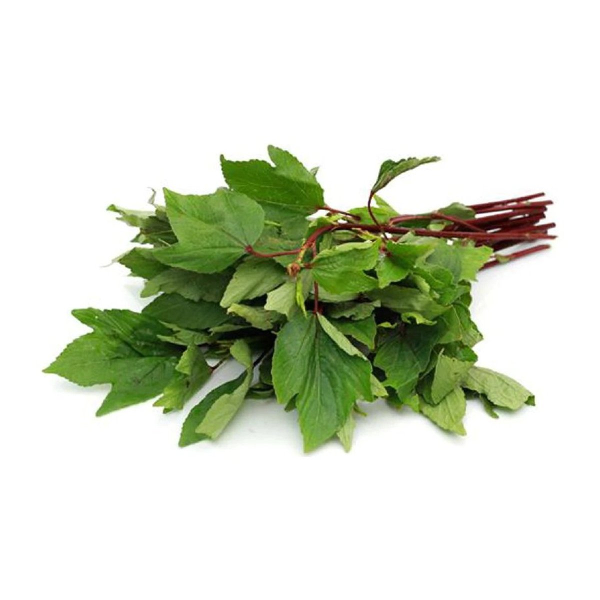 Gongura Leaves Bunch - Image 1
