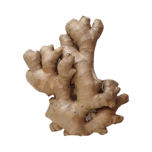 Ginger Desi - Organic