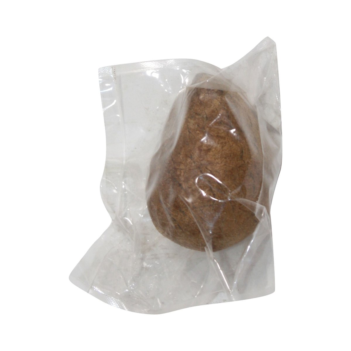 DRY COCONUT WHOLE 1 PC - Image 1
