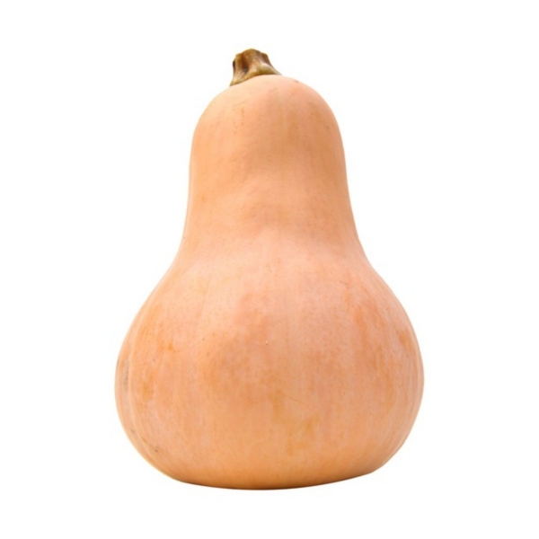 BUTTER NUT SQUASH LB