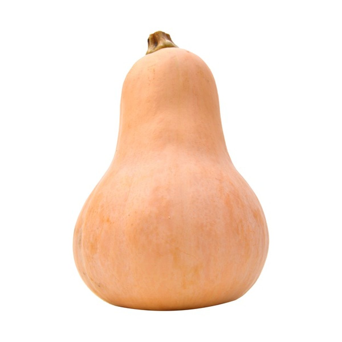 BUTTER NUT SQUASH LB - Image 1