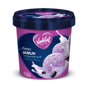 VADILAL JAMUN ICE CREAM 1LT