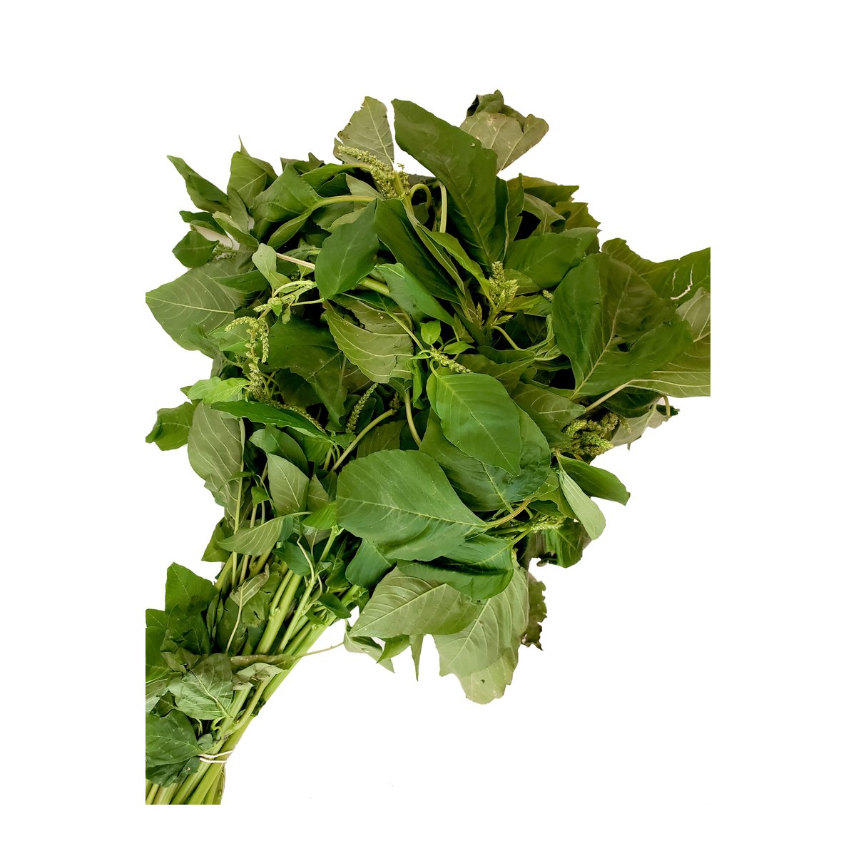 Tandaljo Bhaji - Image 1