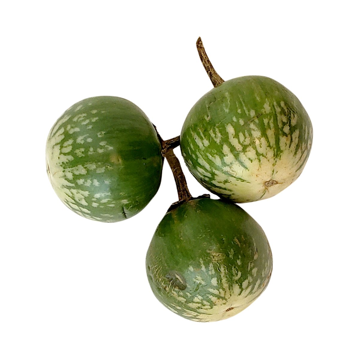 Eggplant Thai - Image 1