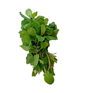 MINT BUNCH