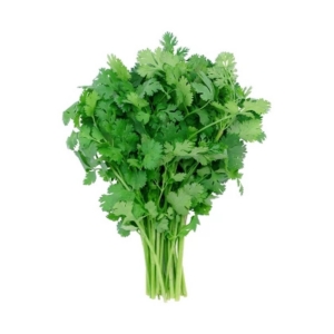 Coriander Bunch