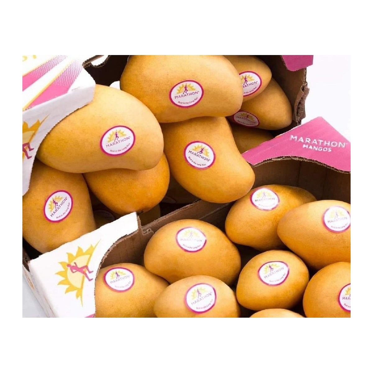 MARATHON Atulfo Mango Box - Image 1