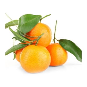Mandarin Satsuma Stem n Leaf